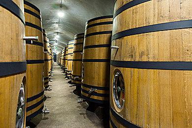 Fami通新一周销量榜 《宝可梦：晶灿钻石／明亮珍珠》四连冠